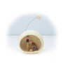 "Snowball" nativity scene