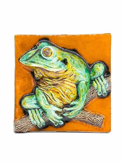 Azulejo com relevo-sapo